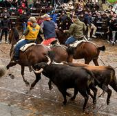 El segundo encierro de Ciudad Rodrigo deja seis heridos