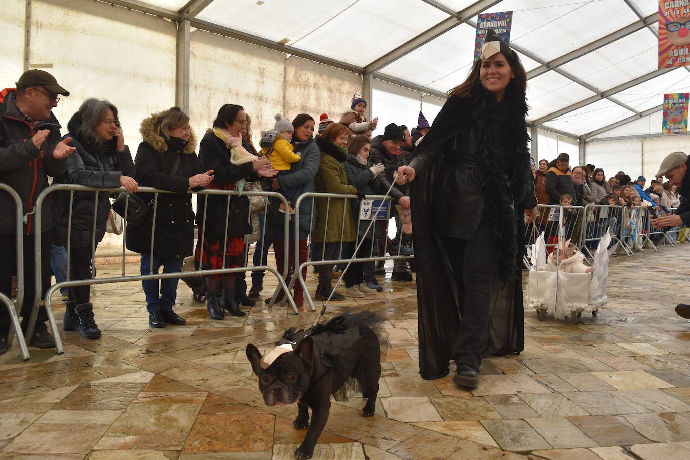 Las mascotas y sus dueños se disfrazan en Aguilar