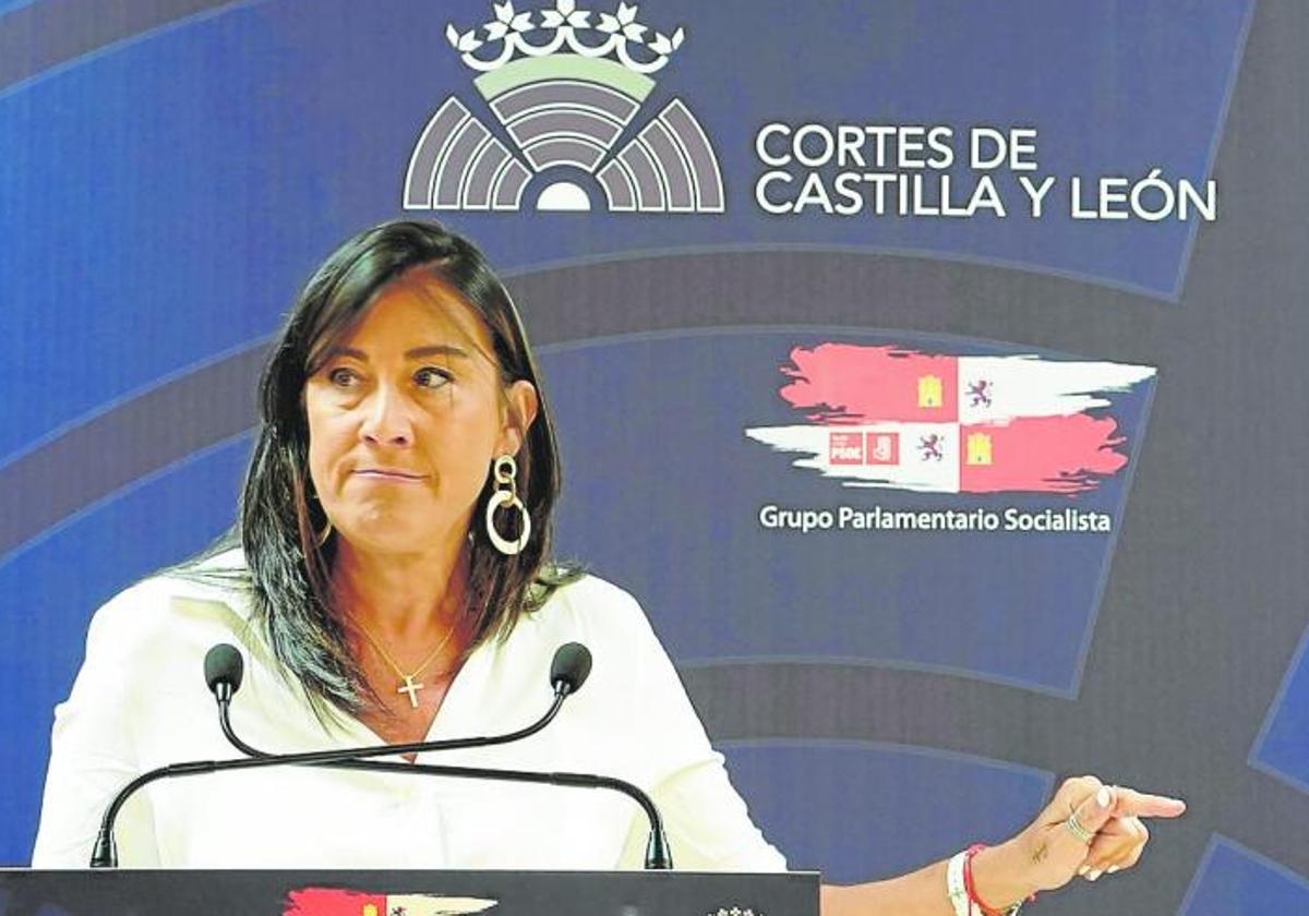 La secretaria de Organización del Partido Socialista de Castilla y León,, Ana Sánchez.