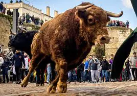 Carnaval del Toro de Ciudad Rodrigo.