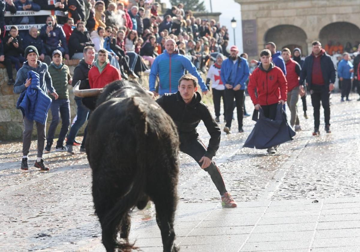 Herido por asta de toro en el animado encierro mañanero de este lunes