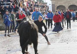 Un joven tienta a un toro durante el encierro de esta mañana.