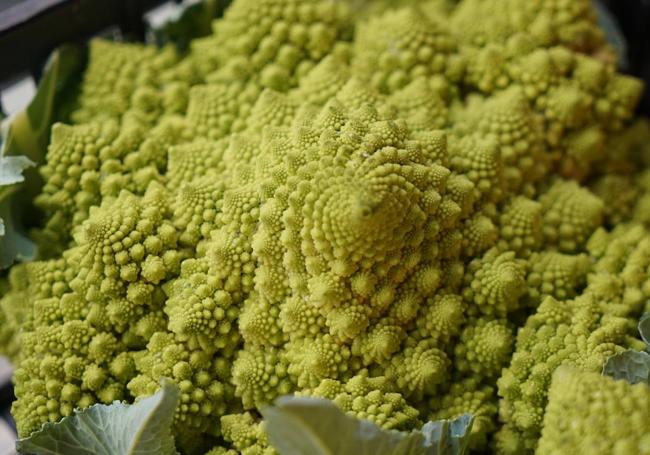 Un romanescu en el Mercado del Val.