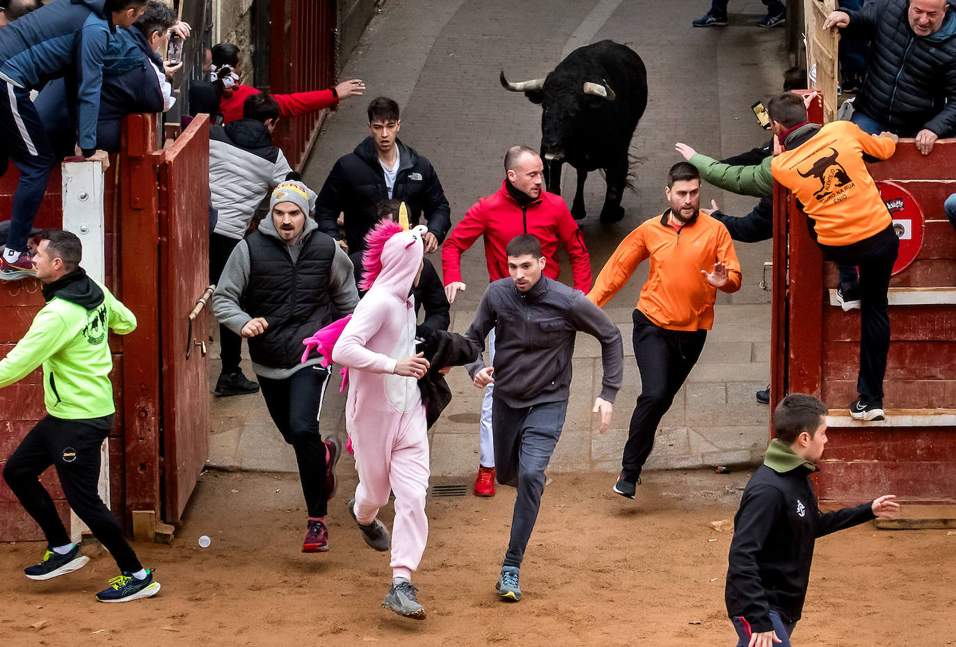 Las espectaculares imágenes del Carnaval del Toro de Ciudad Rodrigo