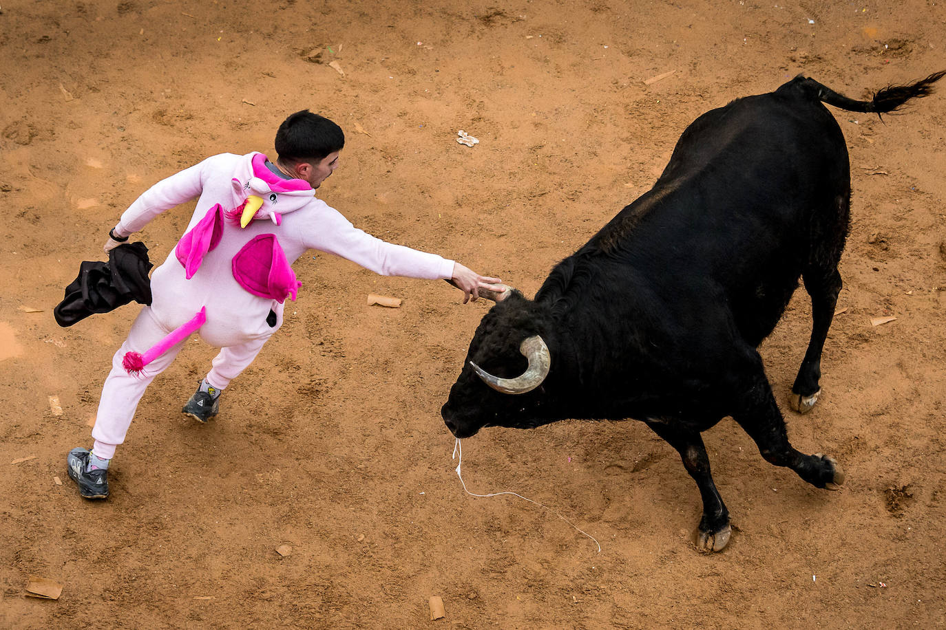 Las espectaculares imágenes del Carnaval del Toro de Ciudad Rodrigo