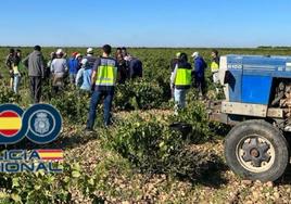 Trabajadores de la explotación de ajos que se inspeccionó en junio en Medina.