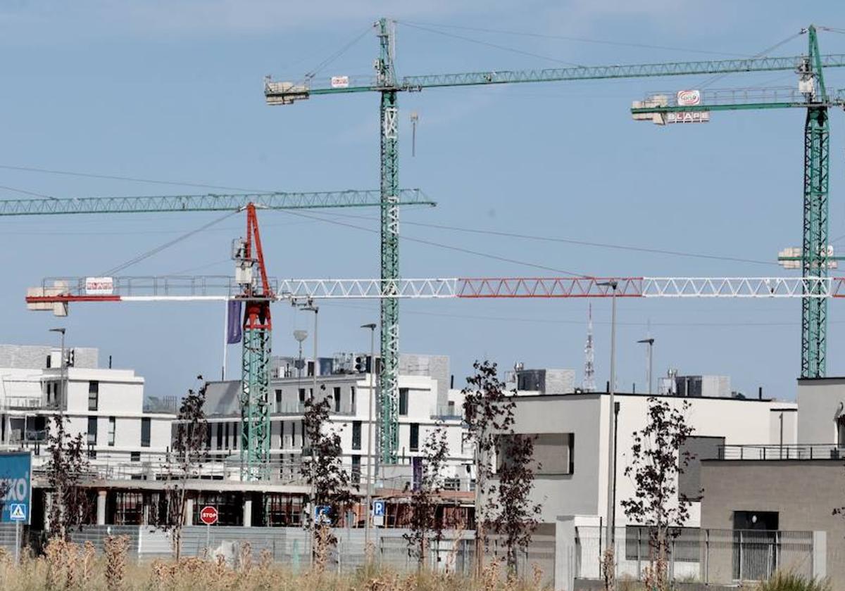 Varias grúas, instaladas en una urbanización en obras en Valladolid.