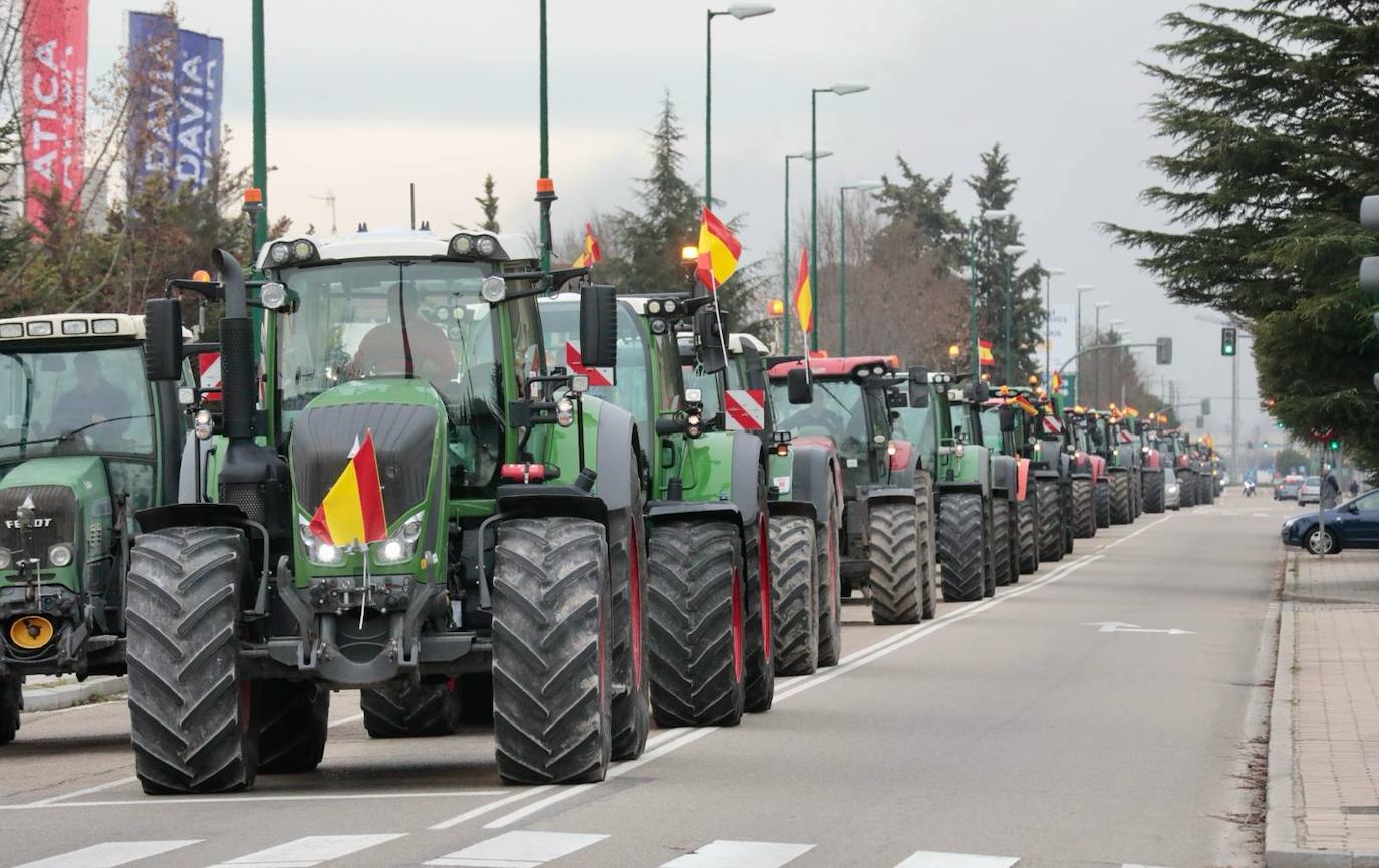 Las imágenes de la manifestación de los agricultores en Valladolid