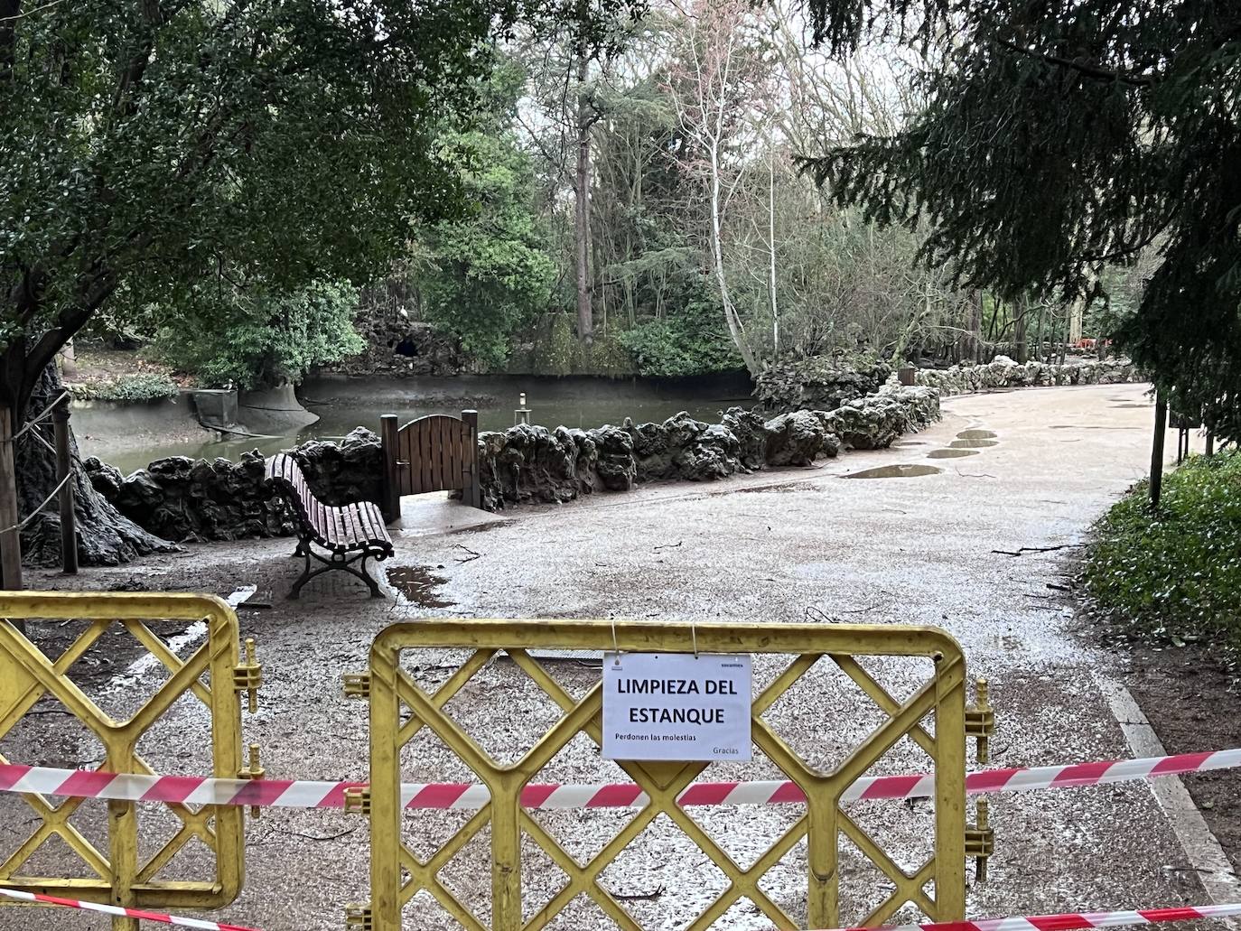 El vaciado del estanque de Campo Grande, en imágenes