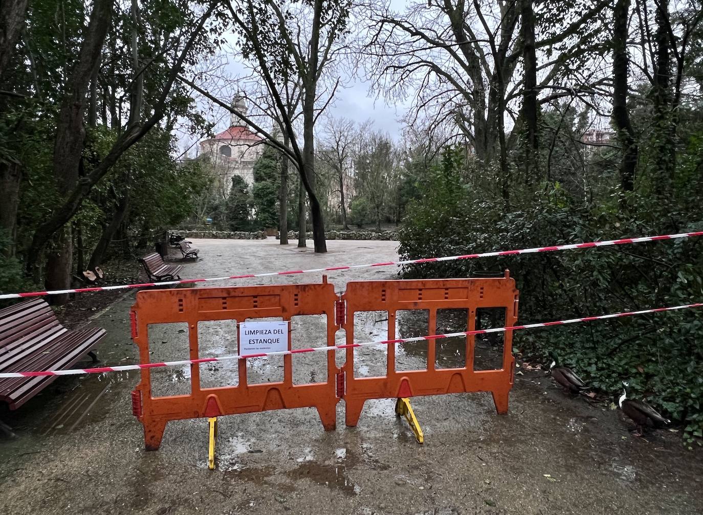 El vaciado del estanque de Campo Grande, en imágenes