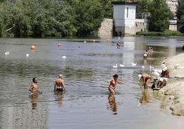 Un grupo de bañistas se refresca en la orilla de la playa de las Moreras.