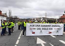 Participantes en la concentración cortan ambos sentidos de la carretera CL-603, en Venta Pinillos.