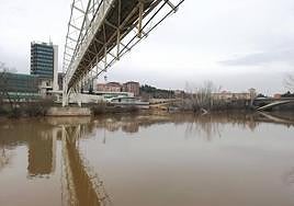 Estado del Pisuerga bajo la pasarela del Museo de la Ciencia.