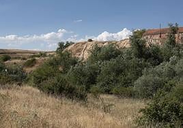 Entorno del colector de Tejadilla.