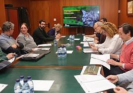 Reunión de alcaldes en la Junta sobre el lince ibérico.