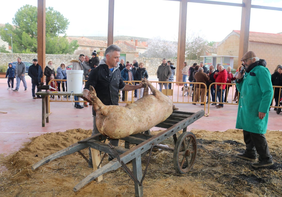 IV Jornada de la Matanza en Herrera de Valdecañas