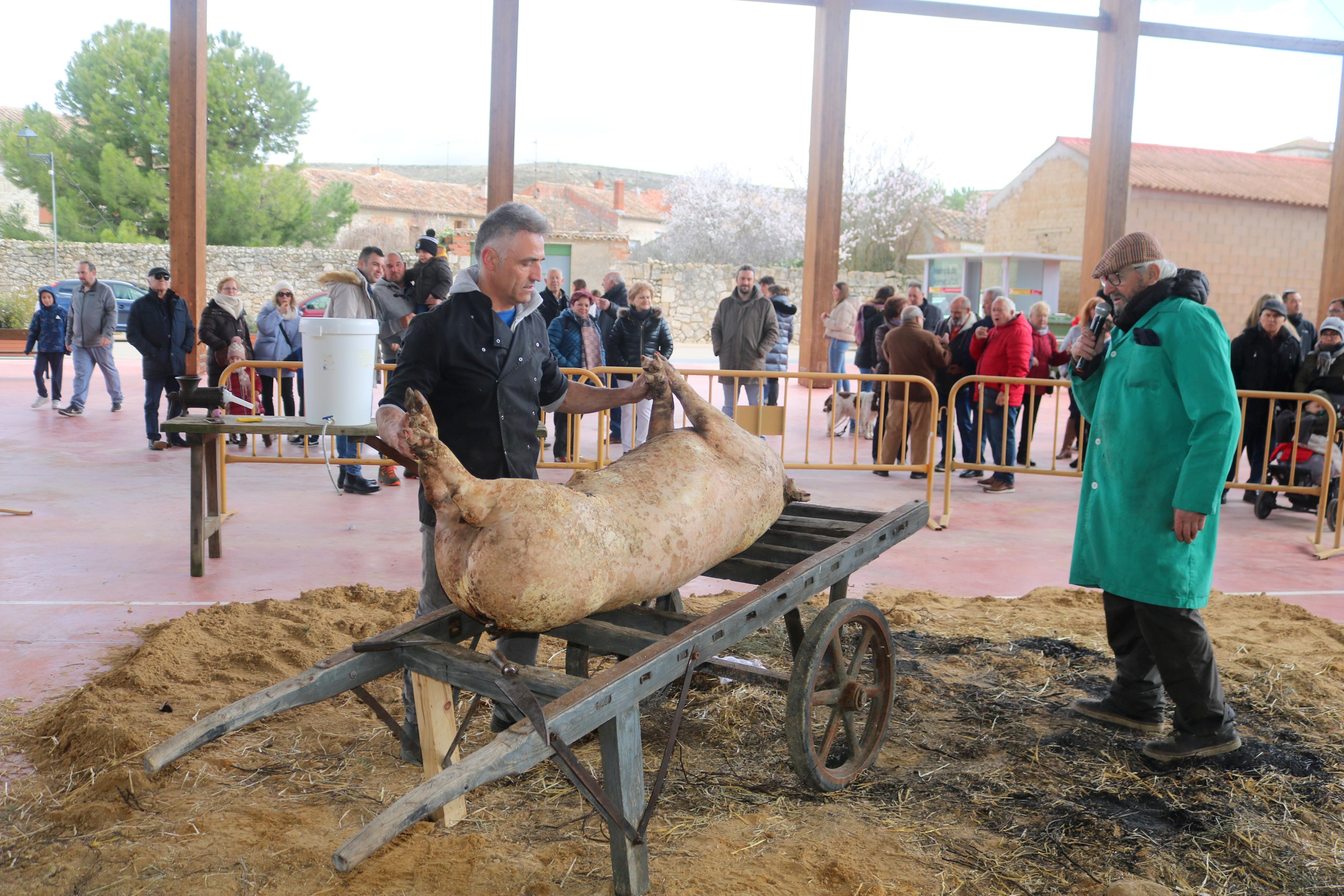 IV Jornada de la Matanza en Herrera de Valdecañas