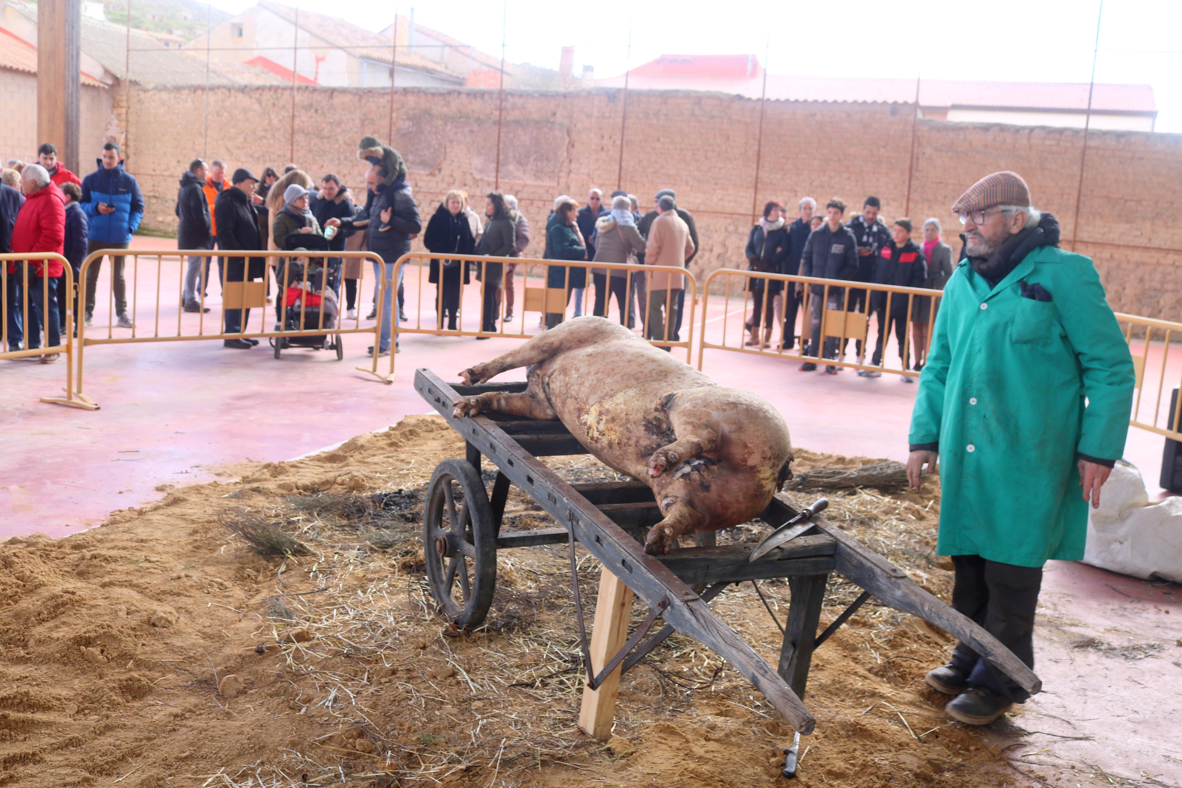 IV Jornada de la Matanza en Herrera de Valdecañas