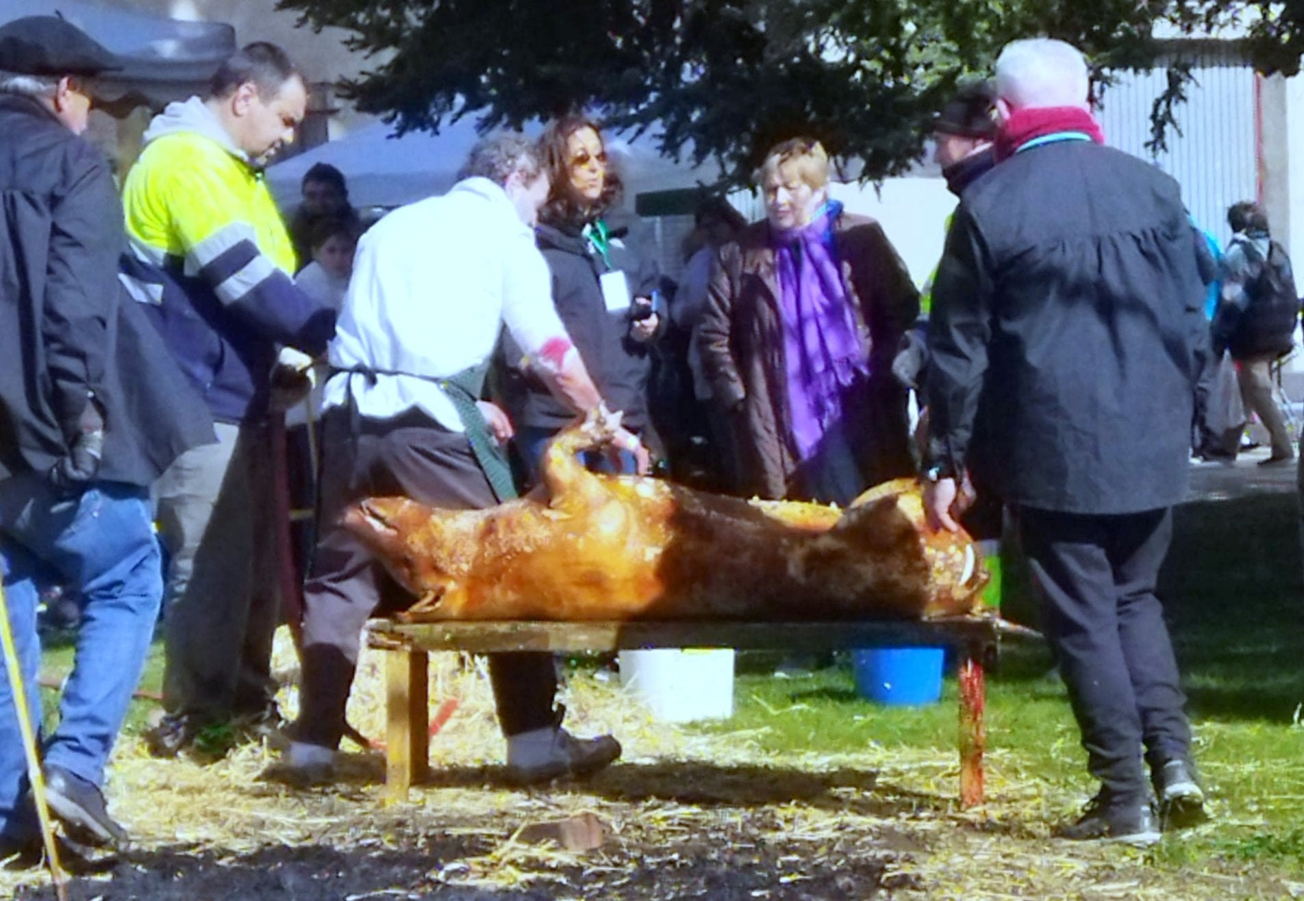 XVI Fiesta de la Matanza en Baños de Cerrato