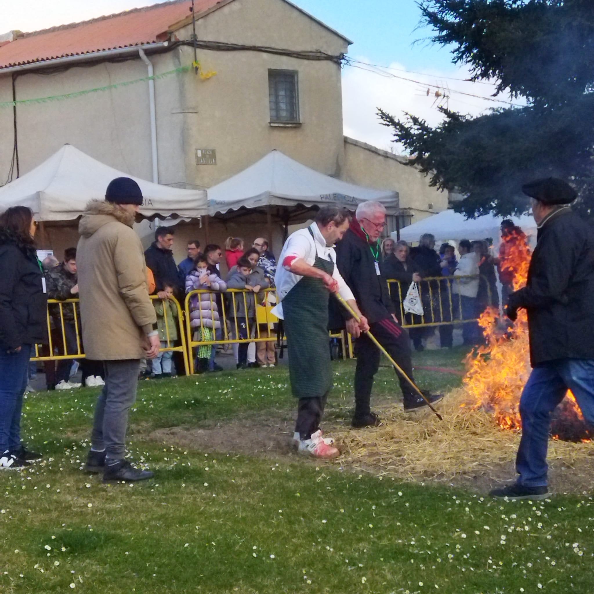 XVI Fiesta de la Matanza en Baños de Cerrato