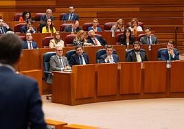 Cortes de Castilla y León.