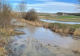 El Esgueva ha vuelto a anegar las tierras próximas a su cauce en Villanueva de los Infantes.