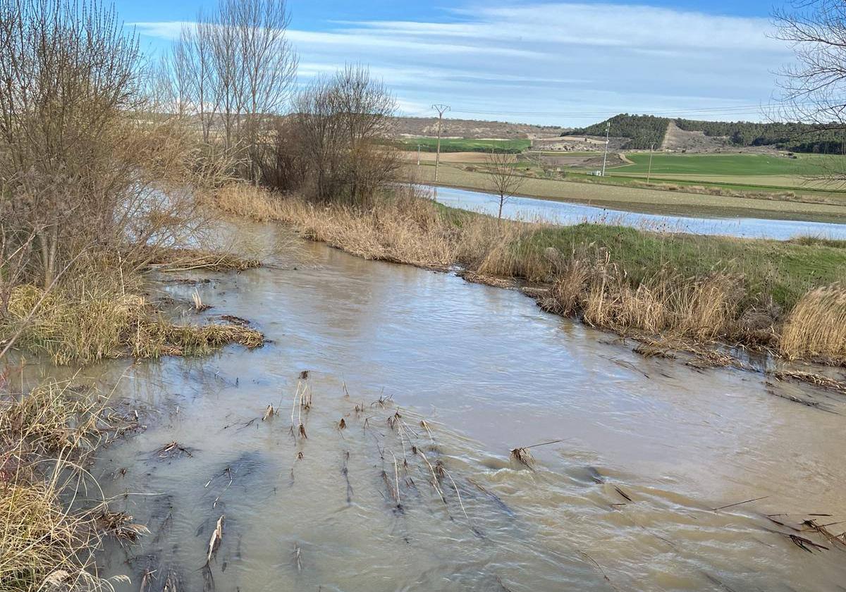 El Esgueva ha vuelto a anegar las tierras próximas a su cauce en Villanueva de los Infantes.