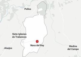 Muere un trabajador al ser golpeado por una vaca en Nava del Rey