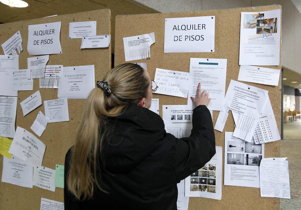 Una mujer observa ofertas de pisos en alquiler en la ciudad de Segovia.