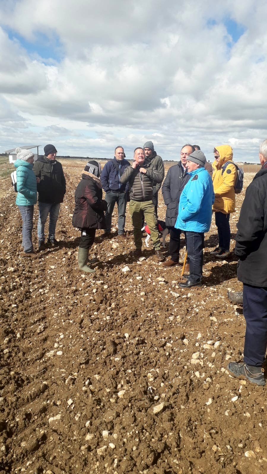 IV Feria de la Trufa en Baltanás