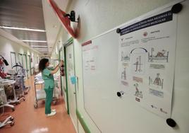 Una MIR en el servicio de Medicina Interna e Infecciosos del Hospital Clínico de Valladolid.