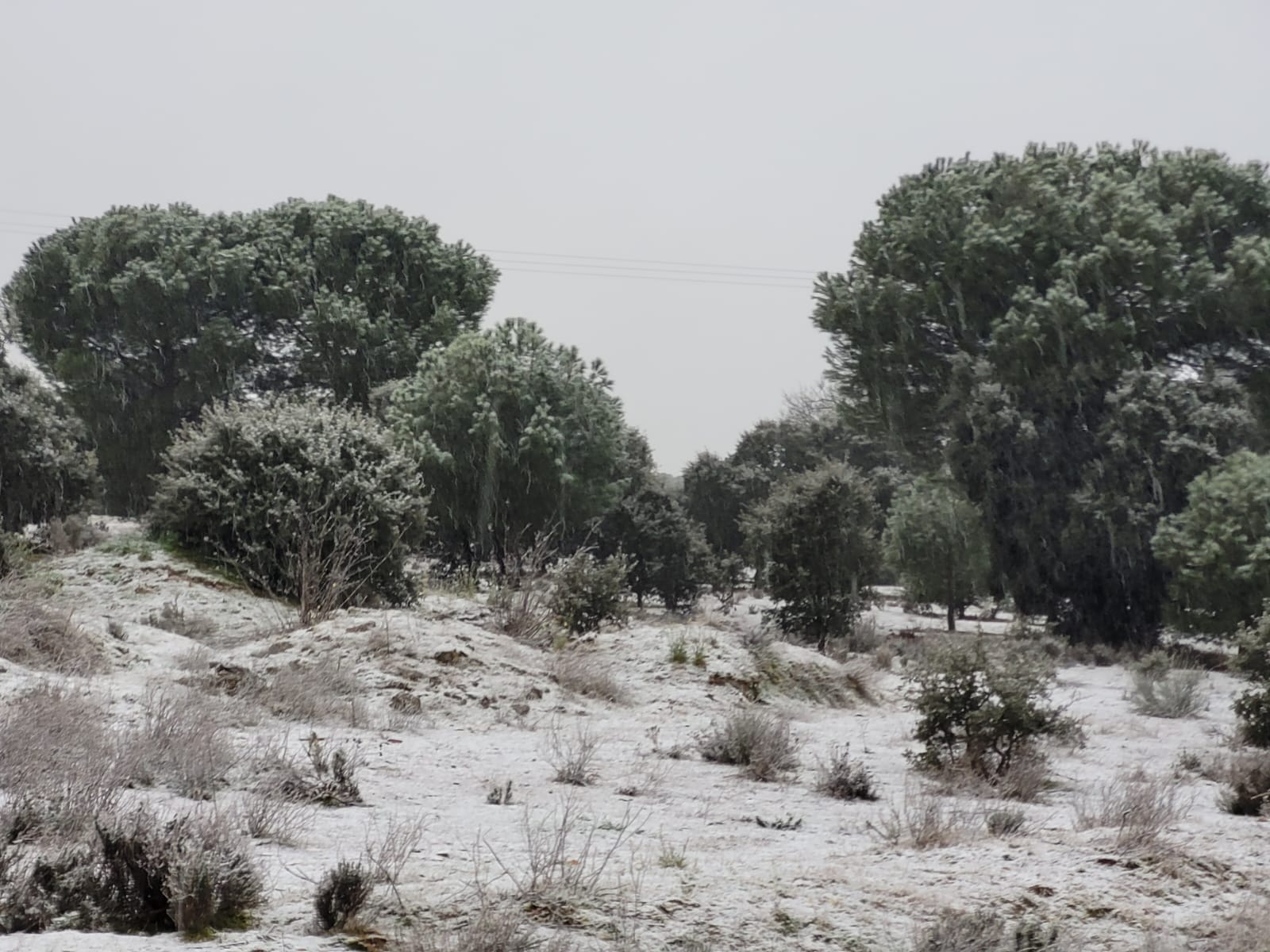 La provincia de Valladolid cubierta de nieve, en imágenes