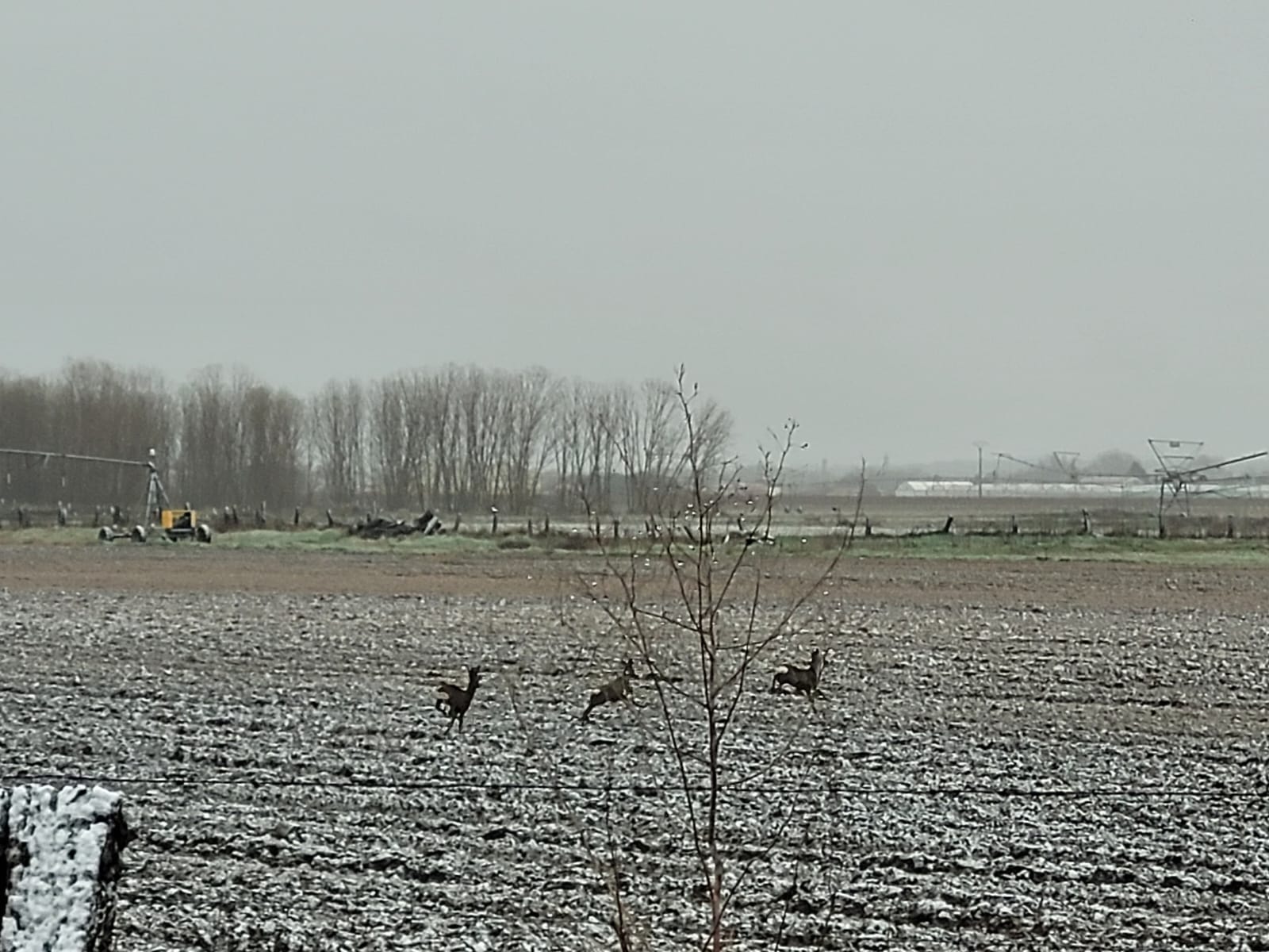 La provincia de Valladolid cubierta de nieve, en imágenes