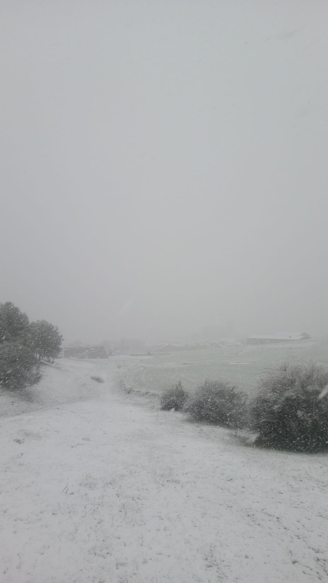 La provincia de Valladolid cubierta de nieve, en imágenes