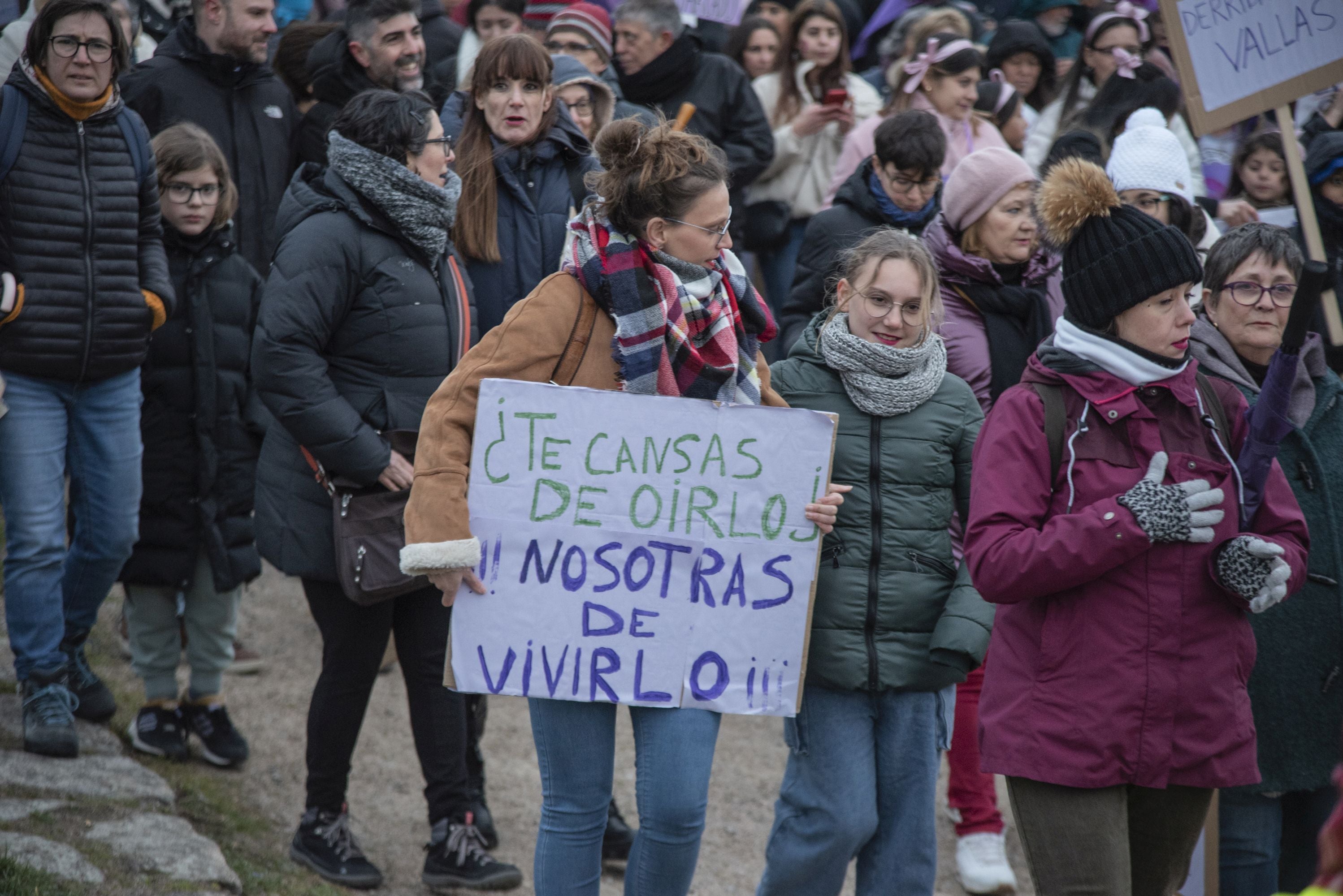 La manifestación del 8M en Segovia, en imágenes