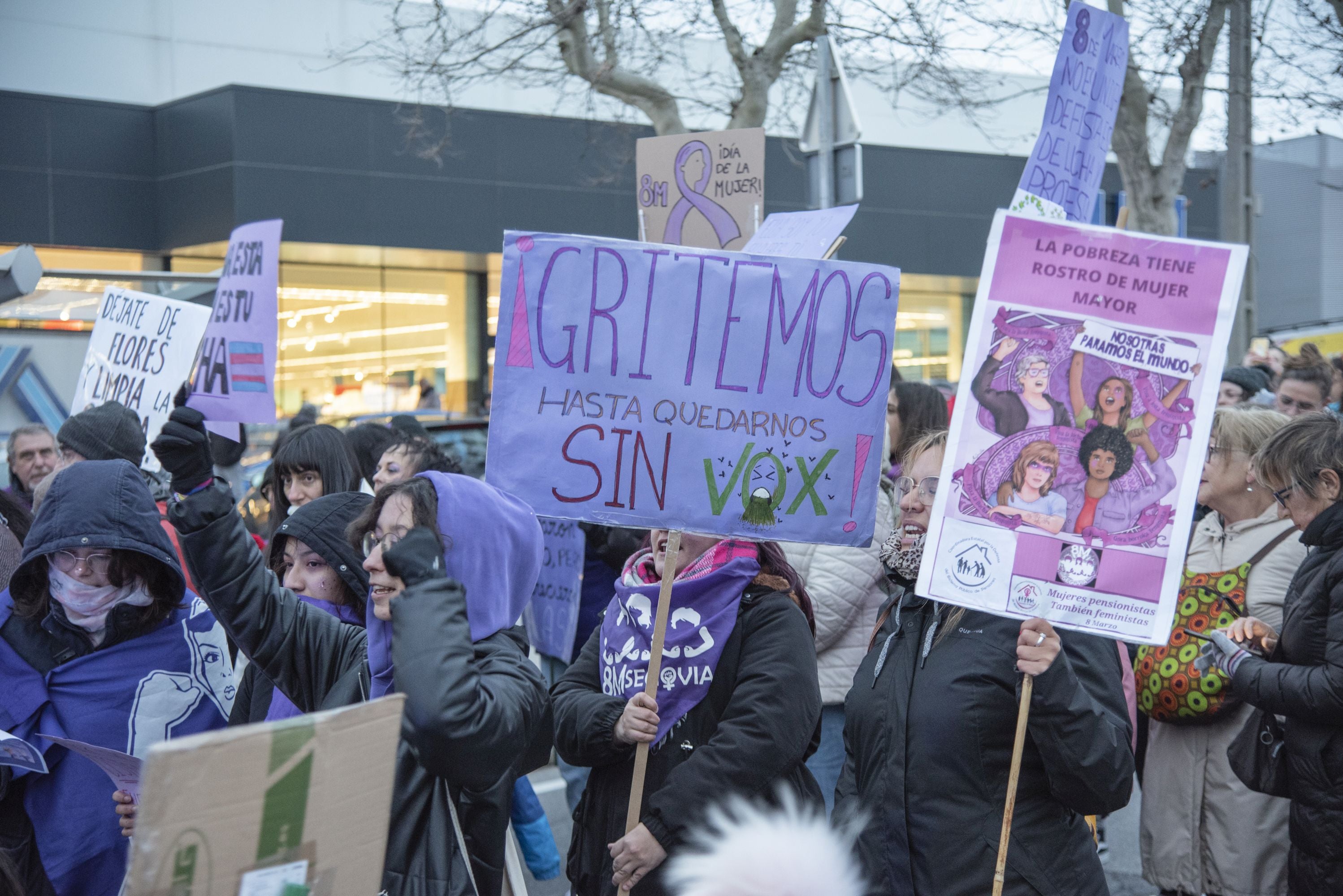 La manifestación del 8M en Segovia, en imágenes