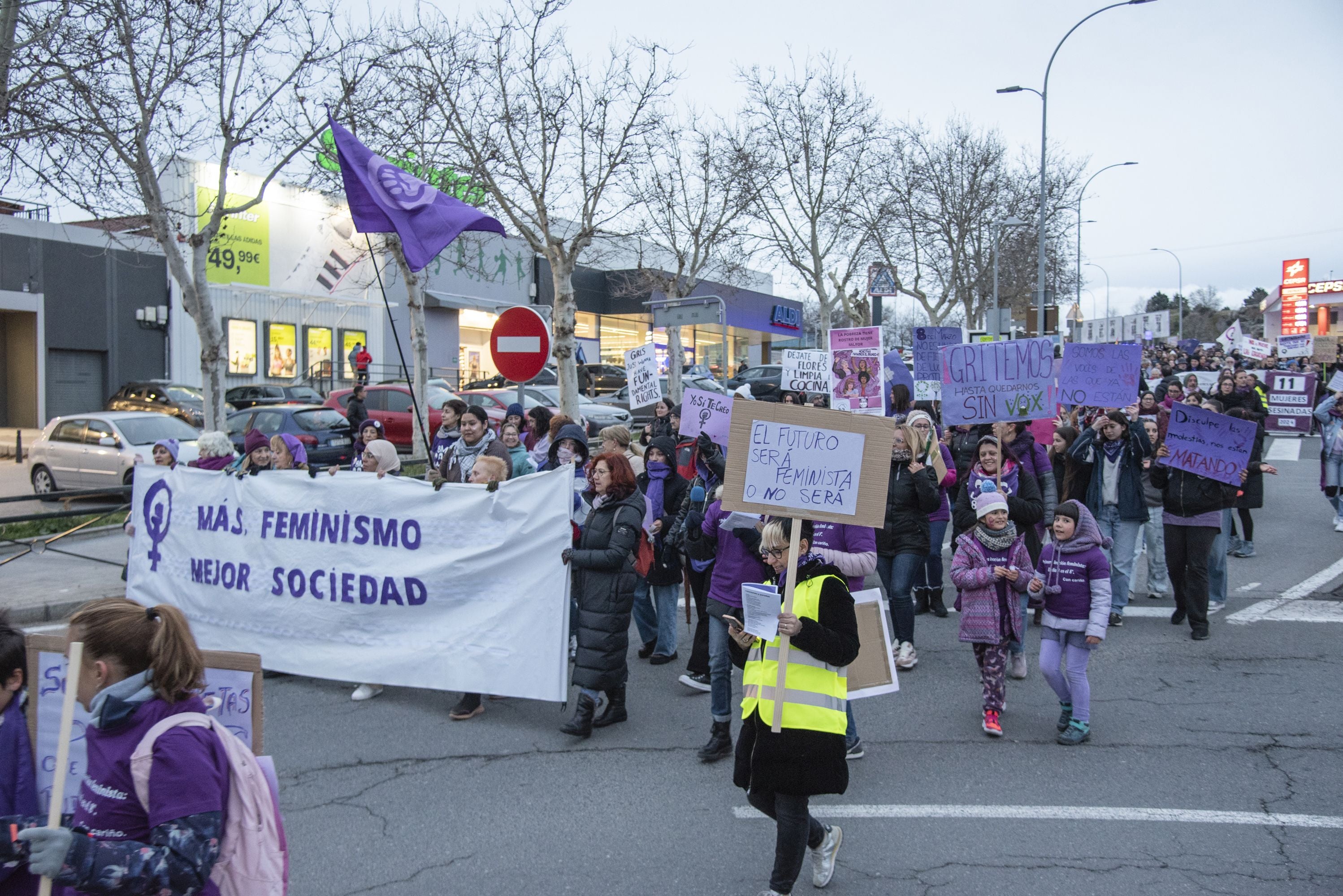 La manifestación del 8M en Segovia, en imágenes