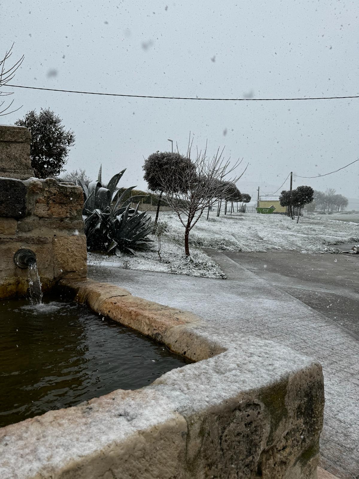 La provincia de Valladolid cubierta de nieve, en imágenes