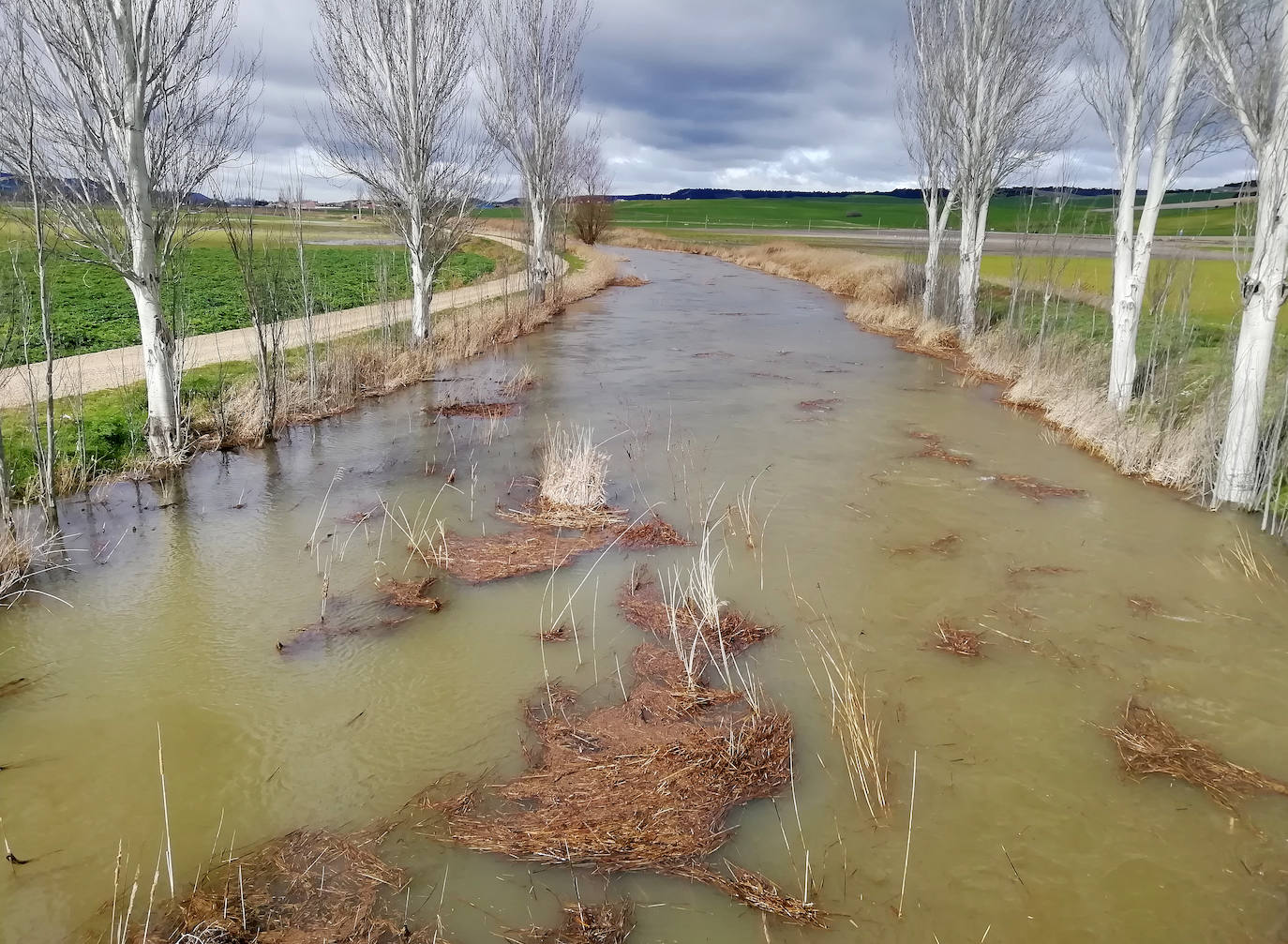 El río Esgueva a su paso por Olmos de Esgueva