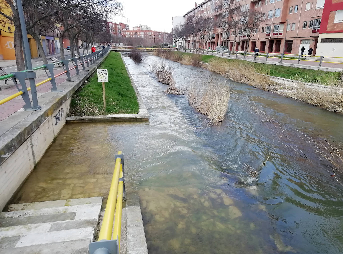 El ríos Esgueva a su paso por Pajarillos (Valladolid)