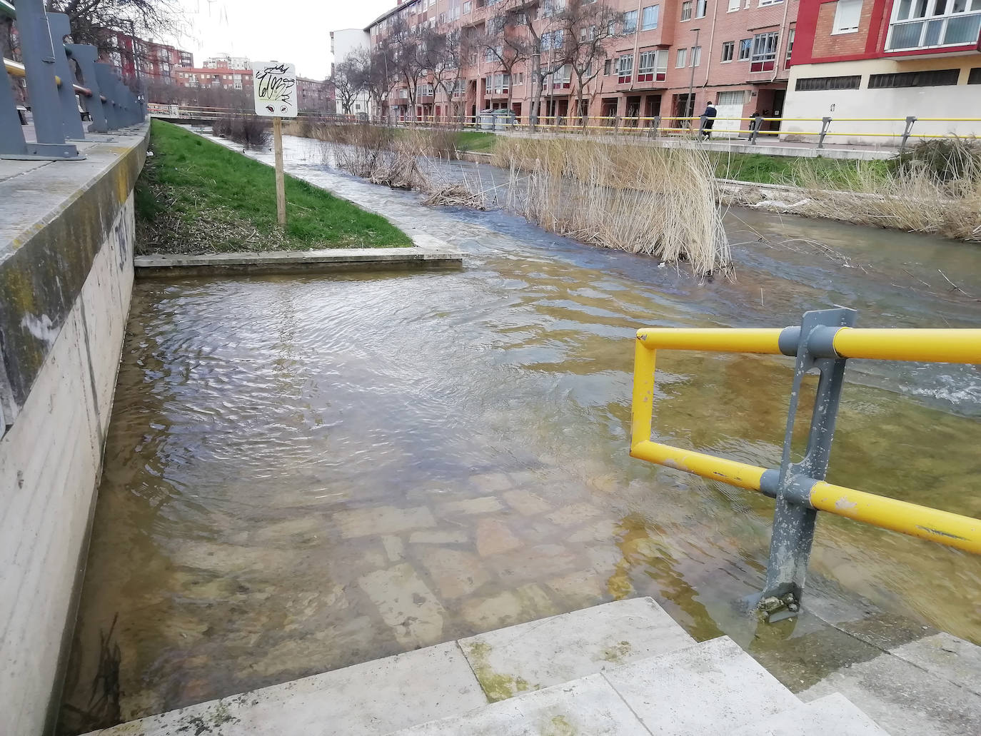 El ríos Esgueva a su paso por Pajarillos (Valladolid)