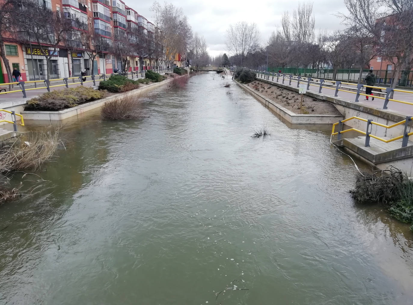 El ríos Esgueva a su paso por Pajarillos (Valladolid)