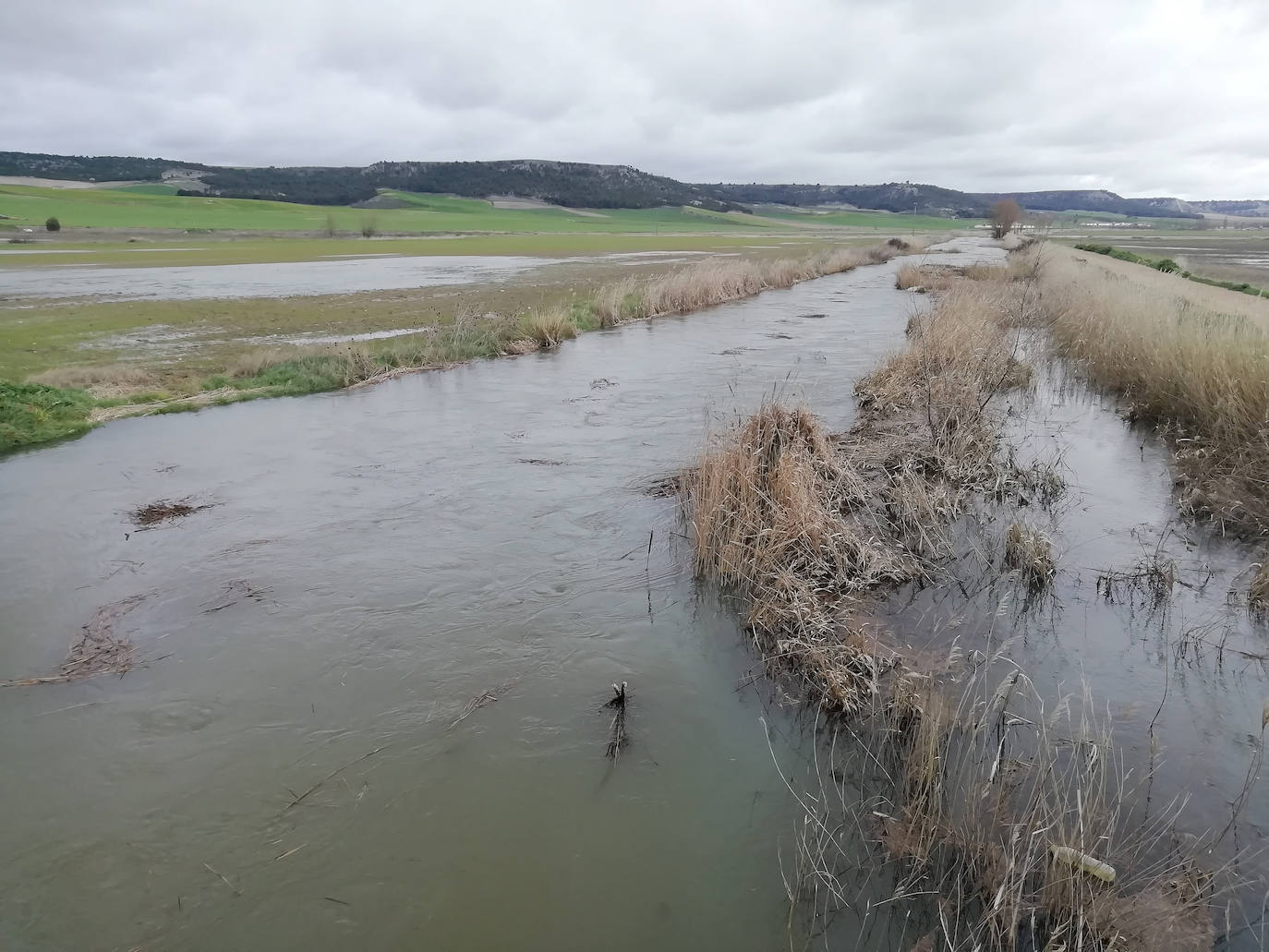 El río Esgueva a su paso por Villarmentero de Esgueva