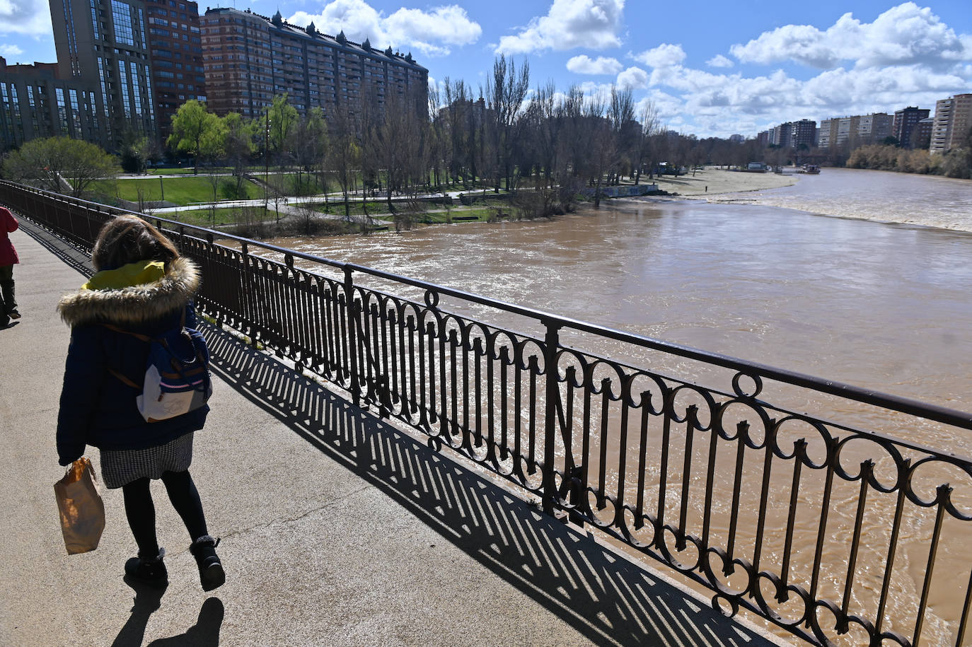 Río Pisuerga a la altura del Puente Mayor.