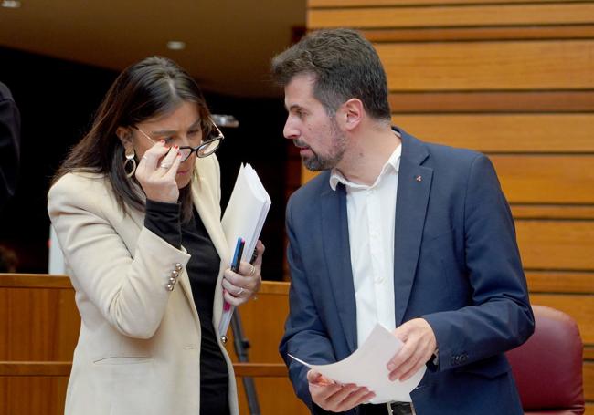 Ana Sánchez y Luis Tudanca, antes de comenzar el Pleno.