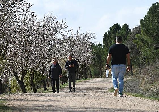 Imagen de archivo del parque de las Contiendas en Valladolid.