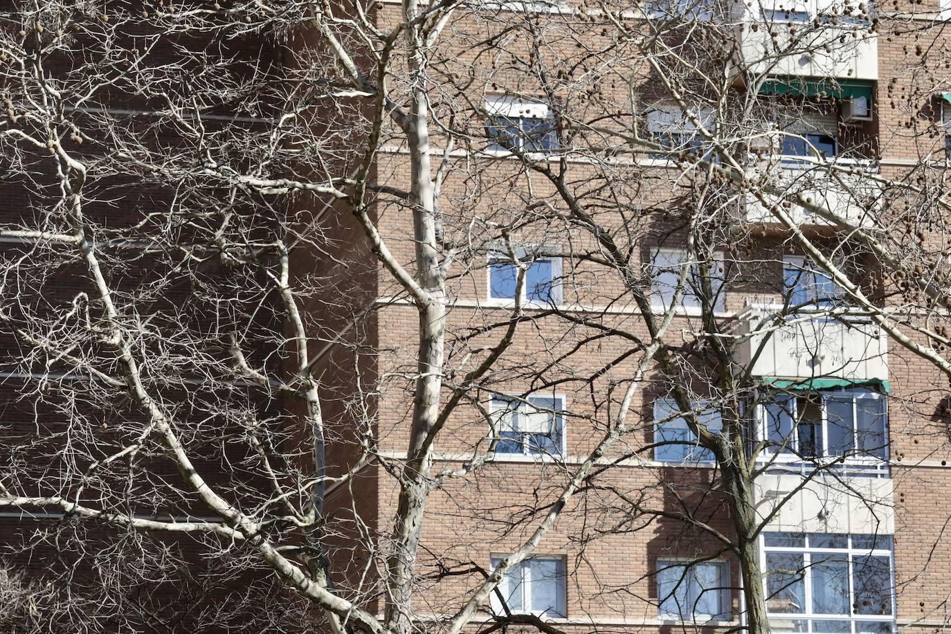 Un recorrido en imágenes por la calle Pio del Río Hortega