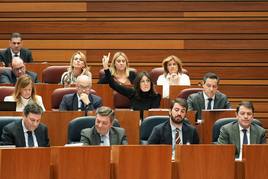 Mañueco y García-Gallardo, durante la votación del proyecto de ley del Juego.