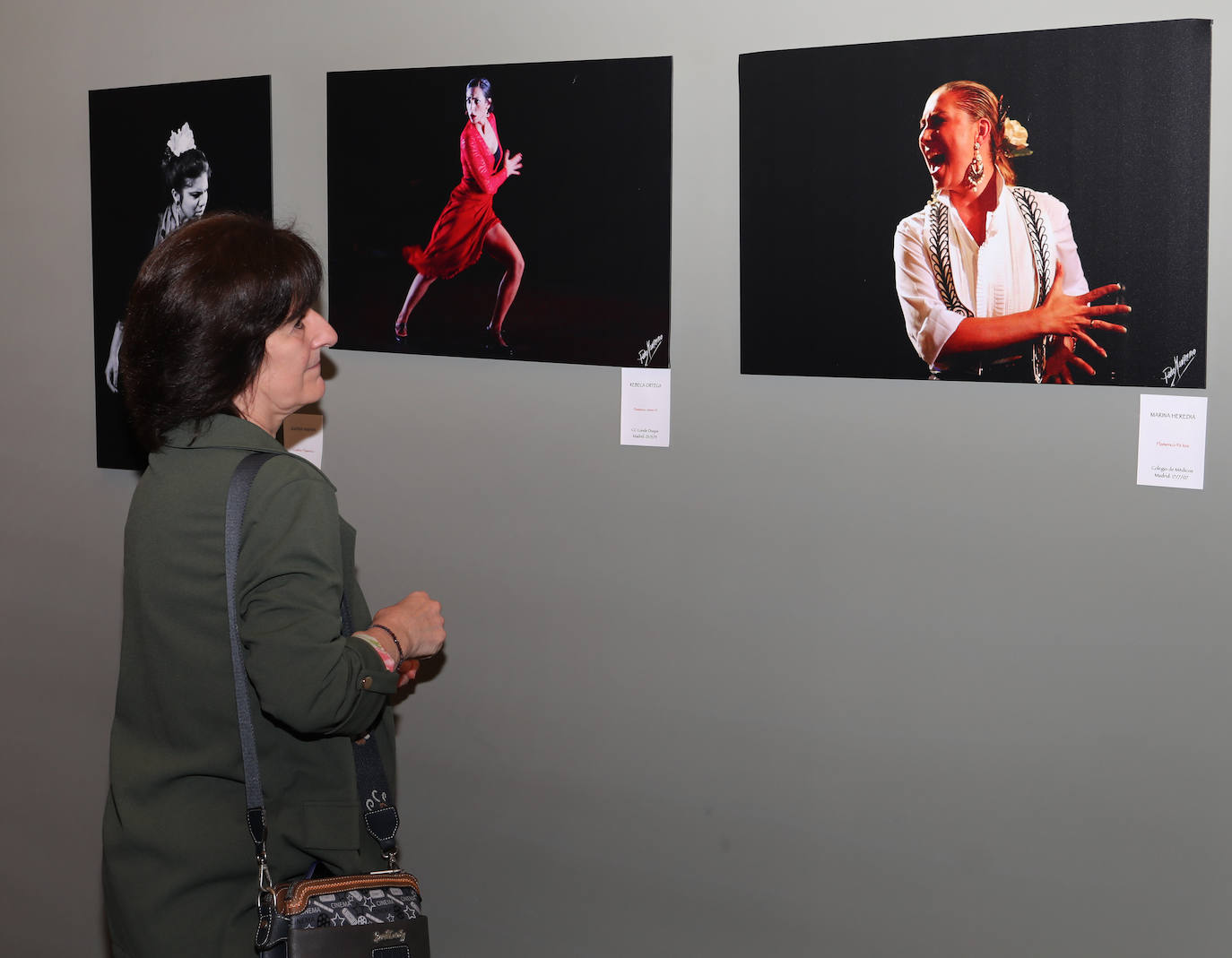 &#039;Damas del Flamenco&#039; de Paco Manzano, en el Teatro Principal