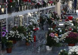 Flores y velas de llama colocadas en lápidas y nichos del cementerio de Segovia.